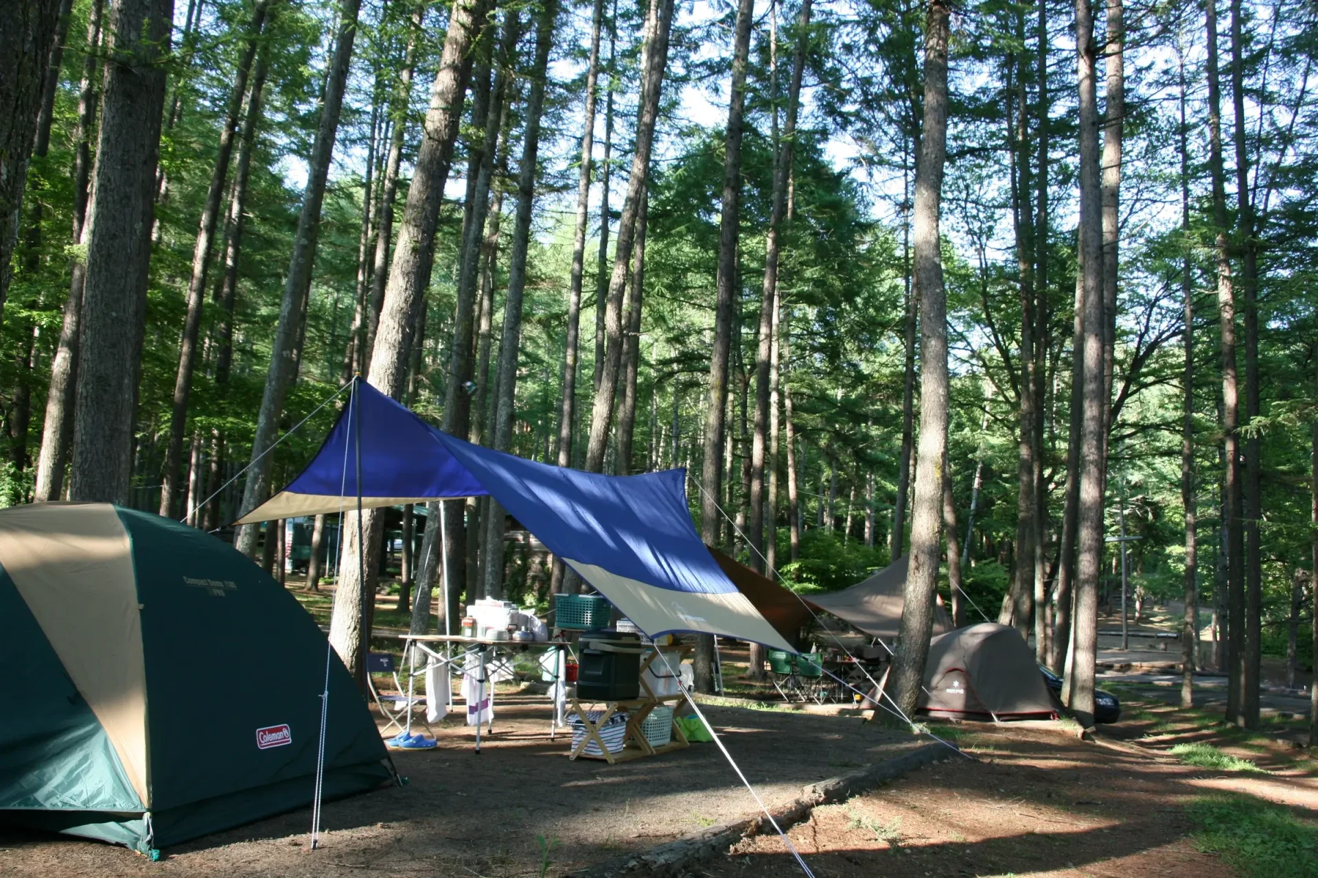 大自然に抱かれた静かなオートキャンプ場