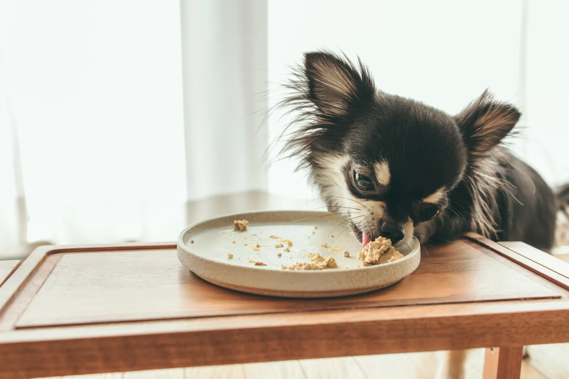 【純国産】愛犬のおやつ・トッピングでも使える総合栄養食