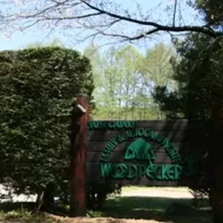 ウッドペッカー